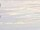Webcam sulla AIDAprima, 131.8 km