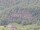 Webcam on the AIDAprima, 15 mi away