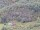 Webcam sulla AIDAprima, 111 km