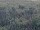 Webcam on the AIDAprima, 66.1 mi away