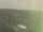 Webcam on the AIDAprima, 11.1 mi away