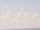Webcam on the AIDAprima, 20.4 mi away