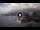 Webcam in Puerto de la Cruz (Ténérife), 0.4 km