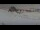 Webcam at the Pordoi Pass, 0.5 mi away