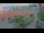 Webcam in Tornesch, 15.9 km entfernt