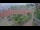 Webcam in Tornesch, 2.5 mi away