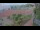 Webcam in Tornesch, 18.2 km