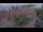 Webcam in Tornesch, 7.3 km