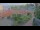 Webcam in Tornesch, 18.2 km
