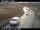 Webcam in Mosfellsbær, 4.5 km entfernt