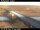 Webcam at the Haffjarðará, 21.9 mi away