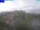 Webcam in Paulen, Flekkerøy, 223.8 km