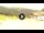 Webcam in Sestola, 3.4 mi away