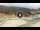 Webcam in Sestola, 8.7 km