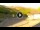 Webcam in Sestola, 2.2 km