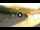 Webcam in Sestola, 24.4 km entfernt