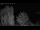 Webcam in Mandelsloh, 6 mi away