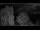 Webcam in Mandelsloh, 8.8 mi away