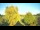 Webcam in Mandelsloh, 22.6 km entfernt