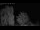 Webcam in Mandelsloh, 22.6 km