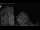 Webcam in Mandelsloh, 8.8 mi away