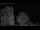 Webcam in Mandelsloh, 33.9 km