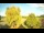 Webcam in Mandelsloh, 29.6 km entfernt