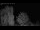 Webcam in Mandelsloh, 8.8 mi away