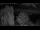 Webcam in Mandelsloh, 8.8 mi away