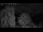 Webcam in Mandelsloh, 8.8 mi away