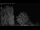 Webcam in Mandelsloh, 9.8 mi away