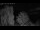 Webcam in Mandelsloh, 8.8 mi away