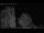 Webcam in Mandelsloh, 8.8 mi away