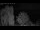 Webcam in Mandelsloh, 8.8 mi away
