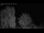 Webcam in Mandelsloh, 45.1 km