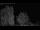 Webcam in Mandelsloh, 45.1 km