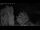 Webcam in Mandelsloh, 8.8 mi away