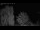 Webcam in Mandelsloh, 8.8 mi away