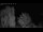 Webcam in Mandelsloh, 47.9 km