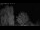 Webcam in Mandelsloh, 8.8 mi away