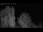 Webcam in Mandelsloh, 8.8 mi away