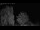 Webcam in Mandelsloh, 8.1 mi away