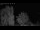 Webcam in Mandelsloh, 11.1 mi away