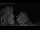 Webcam in Mandelsloh, 47.9 km entfernt