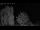 Webcam in Mandelsloh, 12.3 mi away