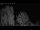Webcam in Mandelsloh, 9.8 mi away