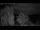 Webcam in Mandelsloh, 47.9 km