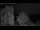 Webcam in Mandelsloh, 8.8 mi away