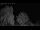 Webcam in Mandelsloh, 8.1 mi away