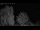 Webcam in Mandelsloh, 22.7 km